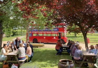 Group of people picnicking next to a tree and a parked London trolley