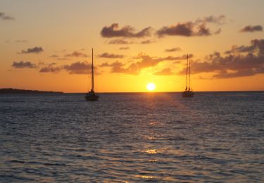 Escape Yachting