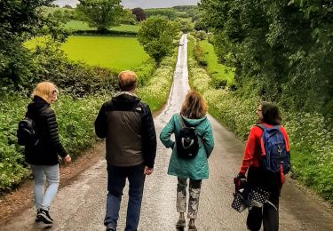 Group of four walking on a path
