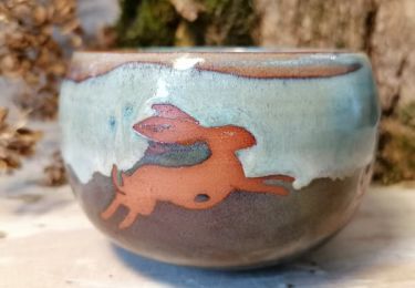 Whimsy in the Wild