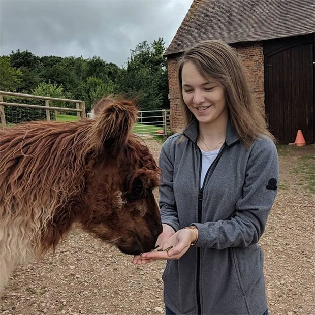 Briery Hill Llamas