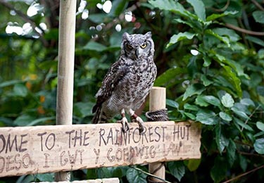 Plantasia Tropical Zoo