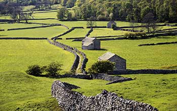 A walled field in Yorkshire