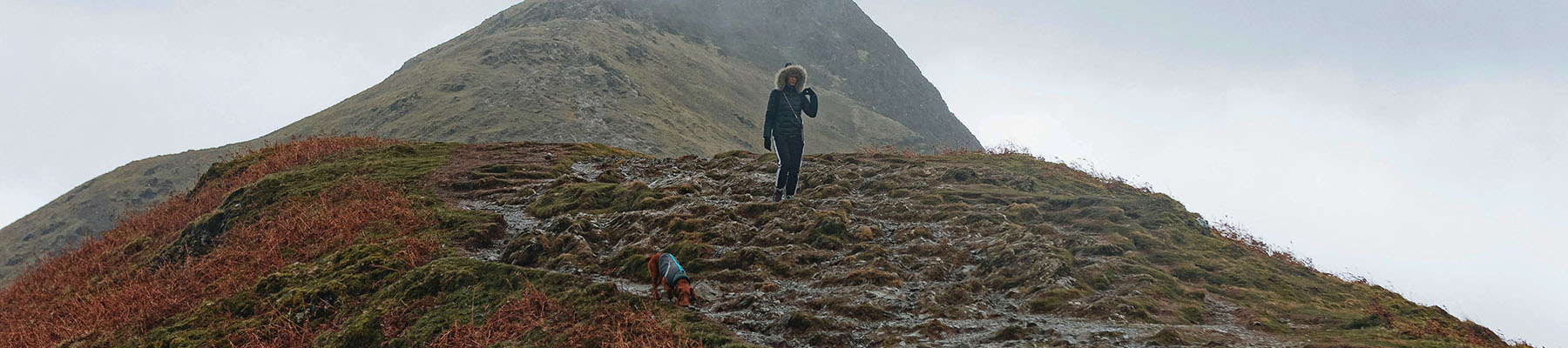Dog walker and their dog climbing a hill in Snowdonia National Park.