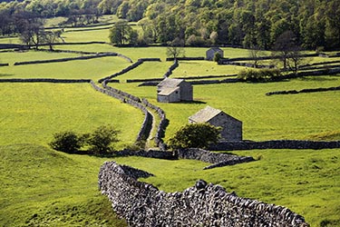 Drystone wall landscape in Yorkshire
