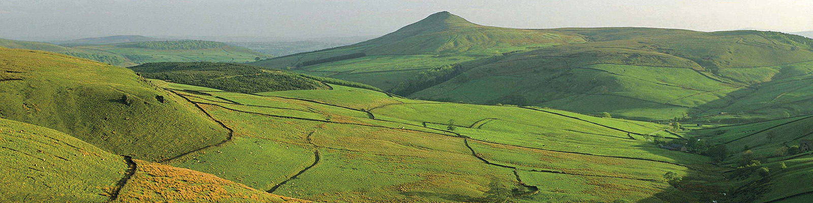 Area image
