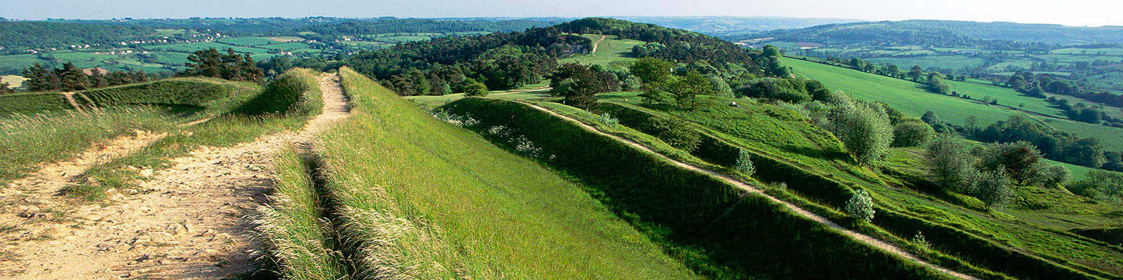 Area image
