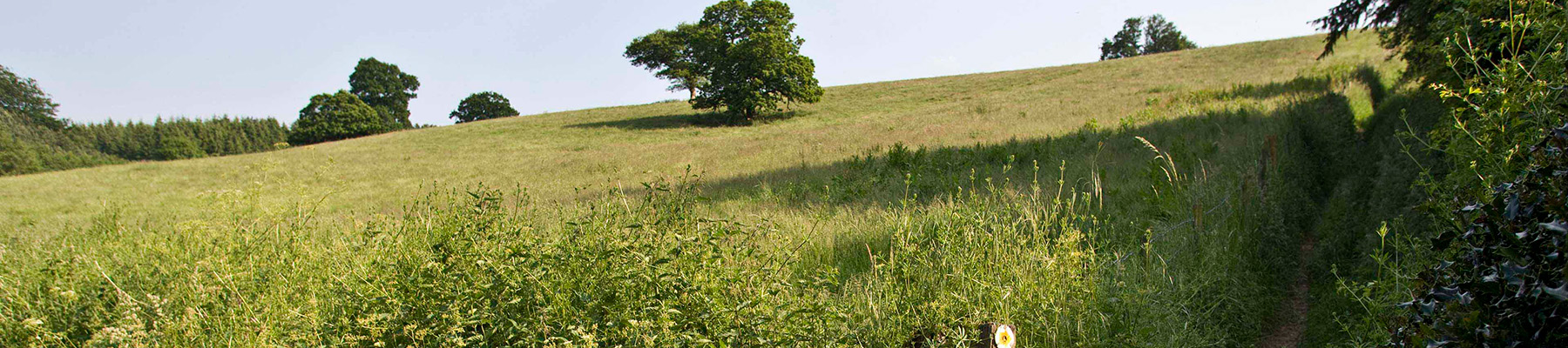 Area image