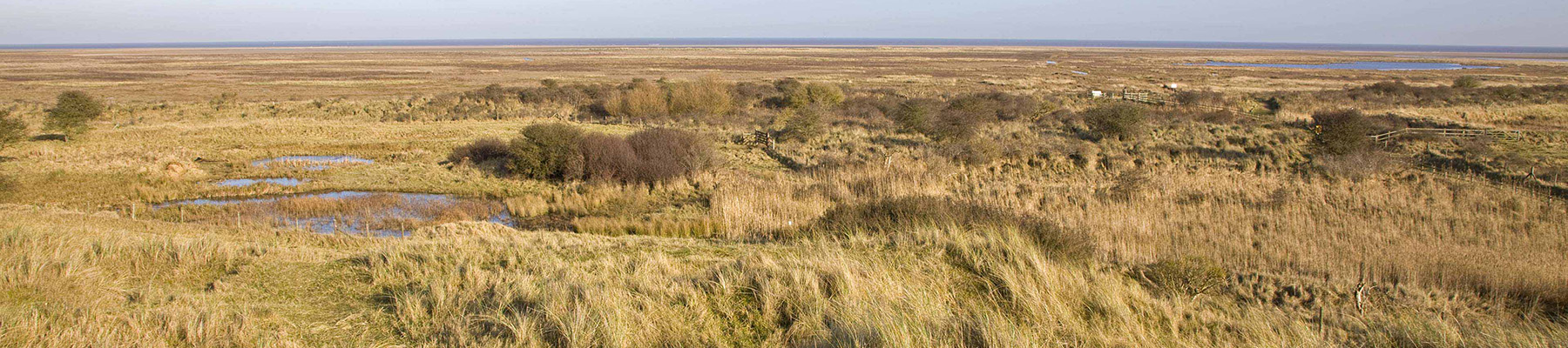 Area image