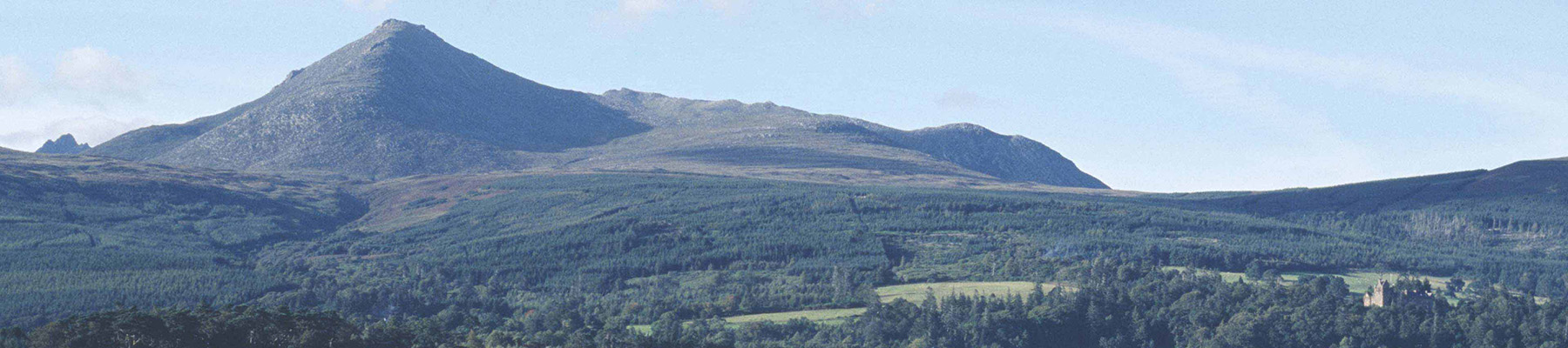 Area image
