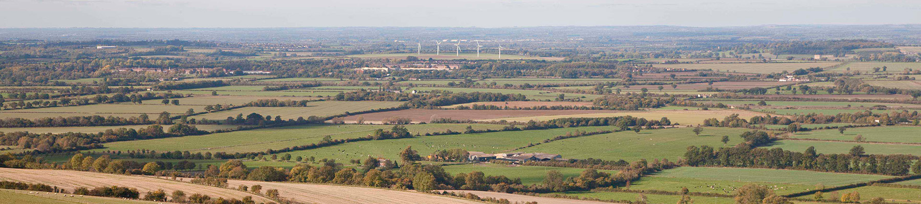 Area image