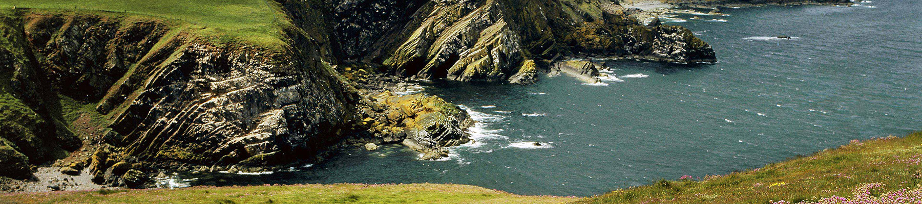 Area image