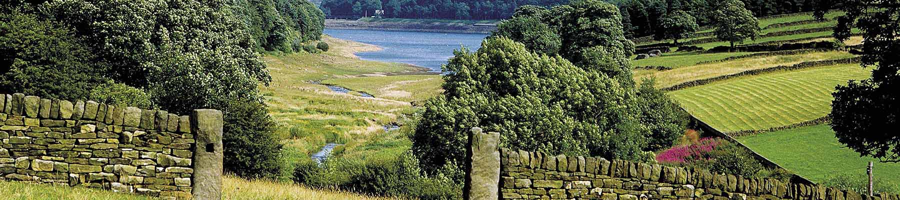 Area image