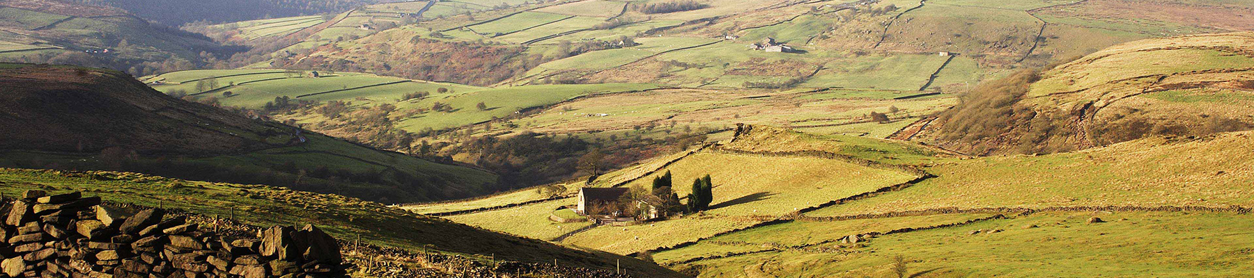 Area image