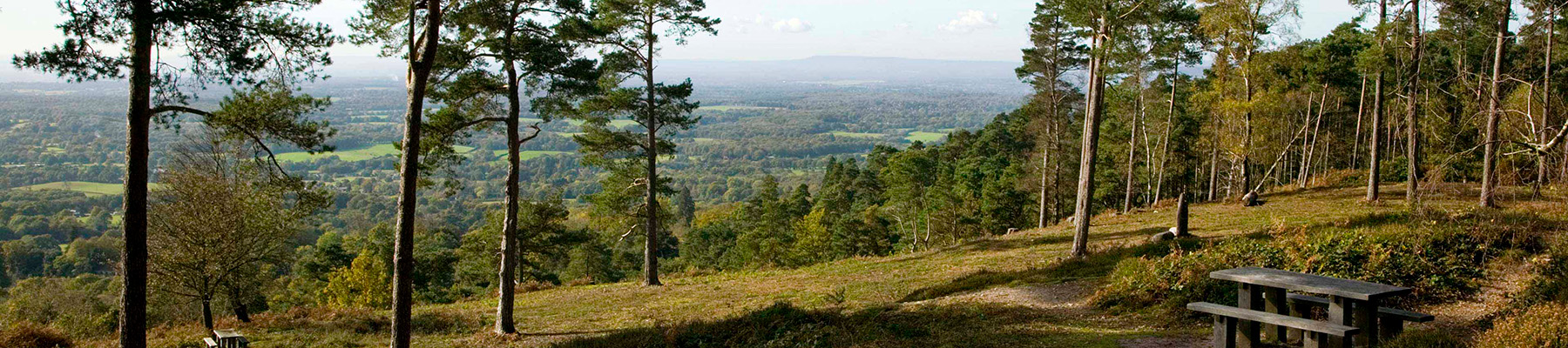 Area image