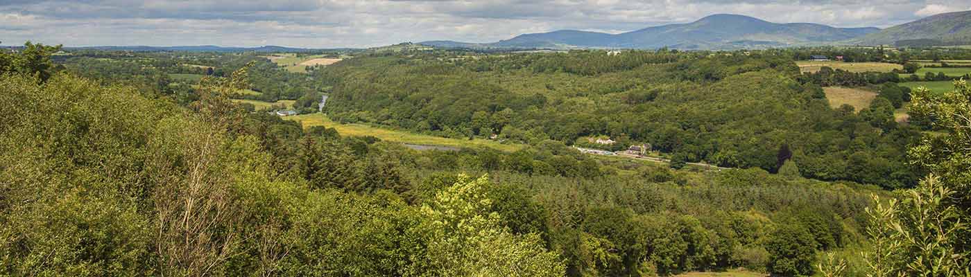 Area image