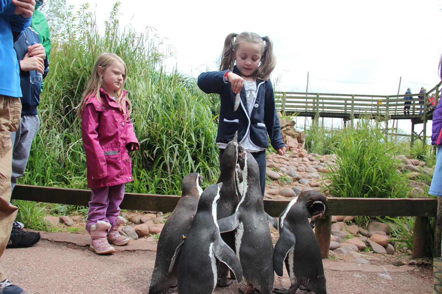 South Lakes Safari Zoo