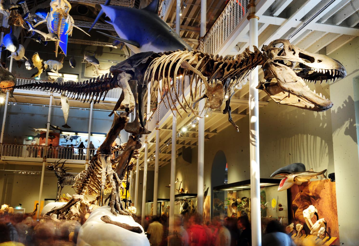 National Museum of Scotland