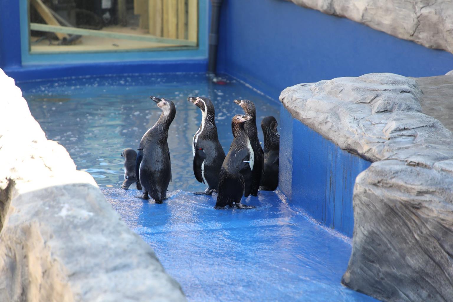 Hunstanton Sea Life Sanctuary