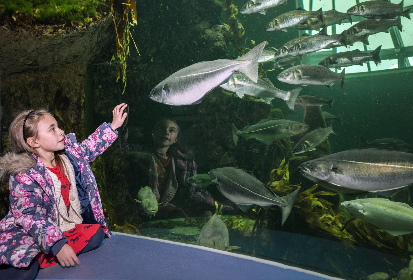 Macduff Marine Aquarium
