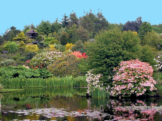 Glenwhan Gardens