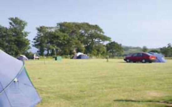 Trewince Farm Touring Park