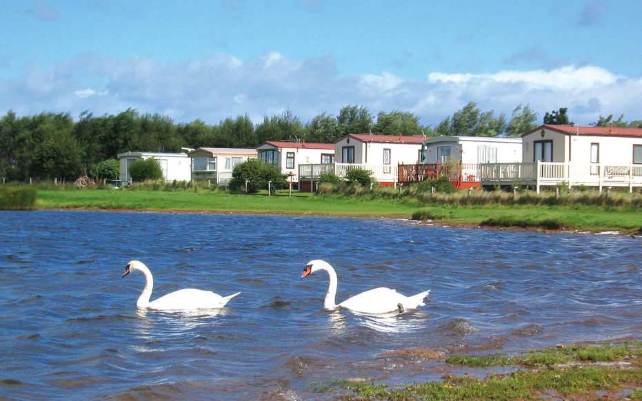 Belhaven Bay Caravan & Camping Park