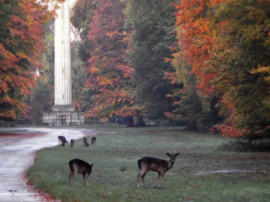 Ashridge Estate Visitor Centre