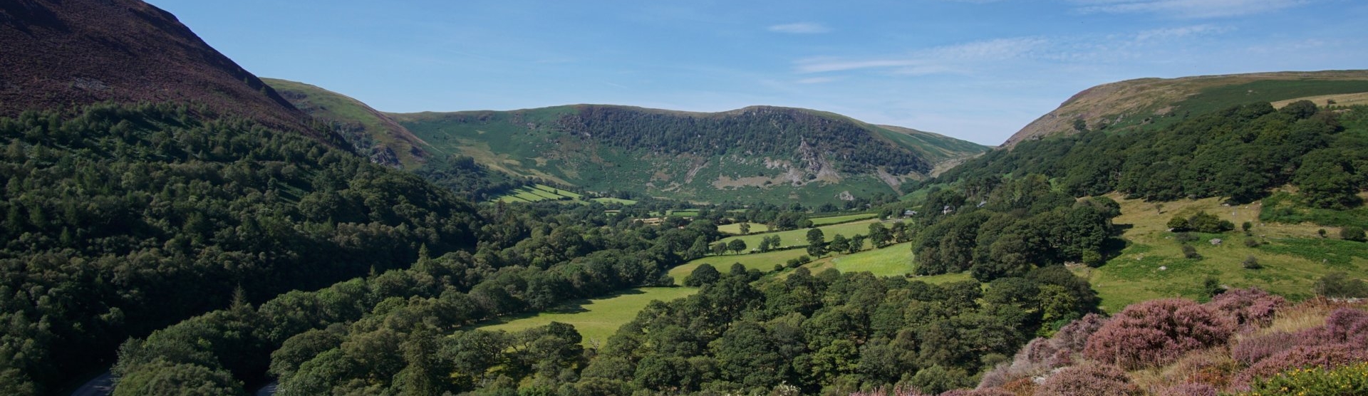 Gilfach Nature Reserve & Visitor Centre