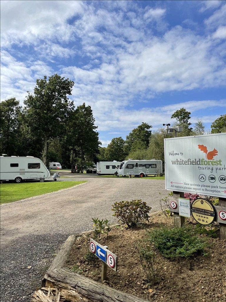Whitefield Forest Touring Park