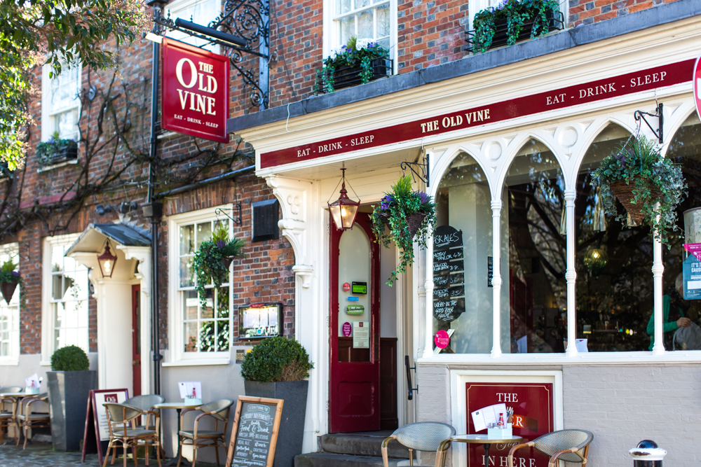The Old Vine