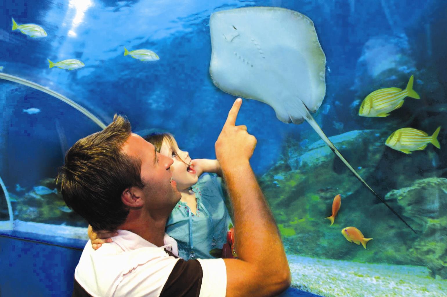 Blue Reef Aquarium