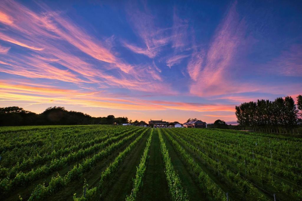 Llanerch Vineyard Hotel & Restaurant
