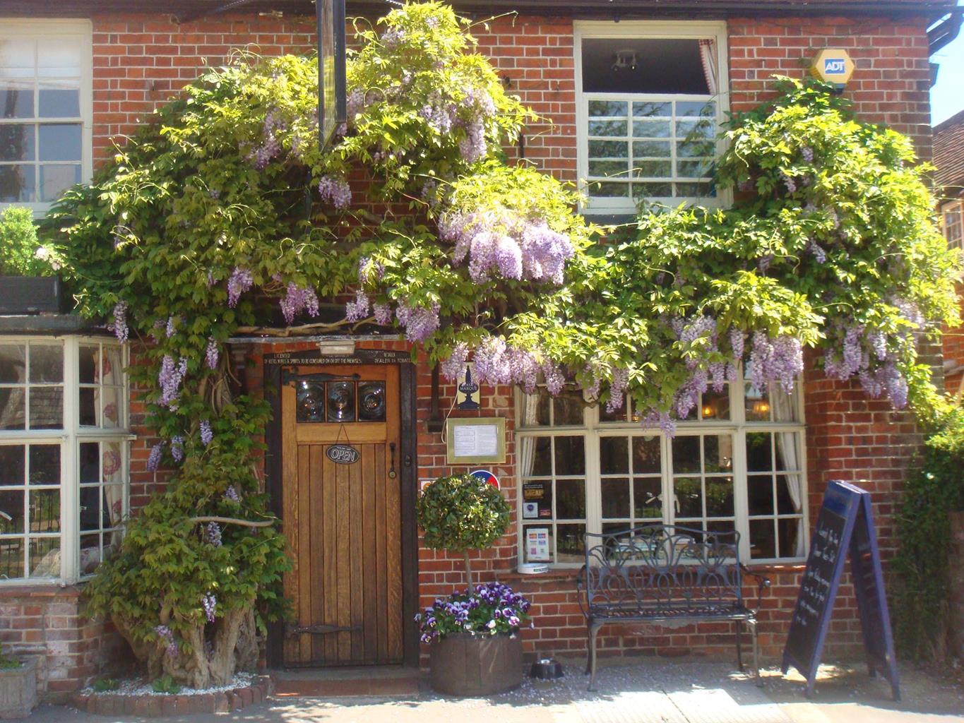 The Jolly Cricketers