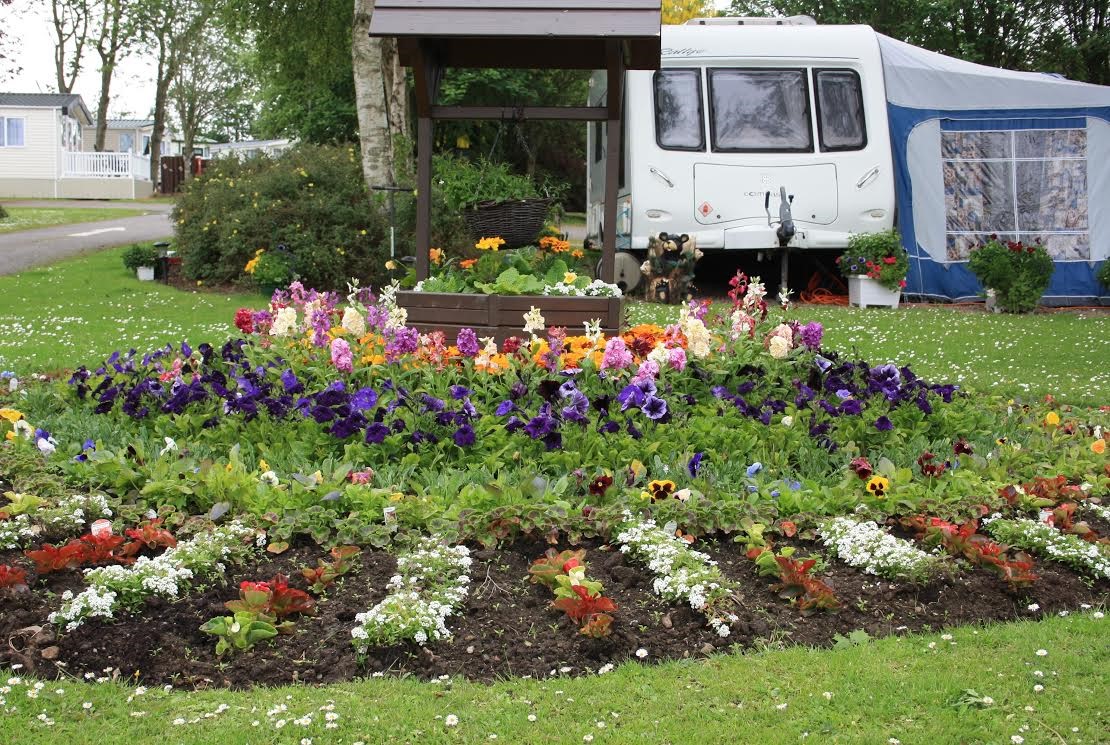 Aden Caravan and Camping