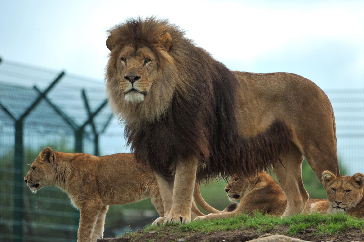 Folly Farm Adventure Park & Zoo