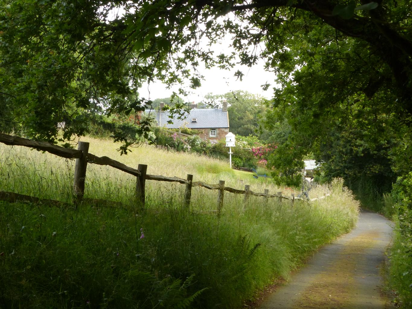 Judith Quérée's Garden