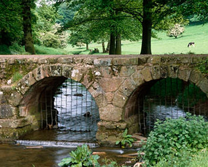 Bow Bridge