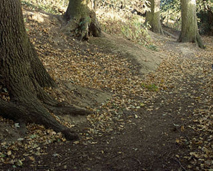 Lexden Earthworks and Bluebottle Grove