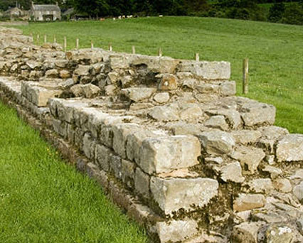Planetrees Roman Wall - Hadrian's Wall