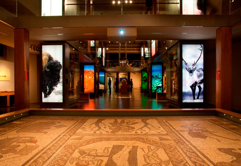 The Museum of Somerset