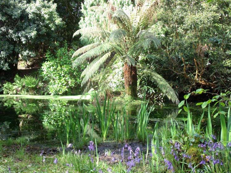 Penjerrick Garden