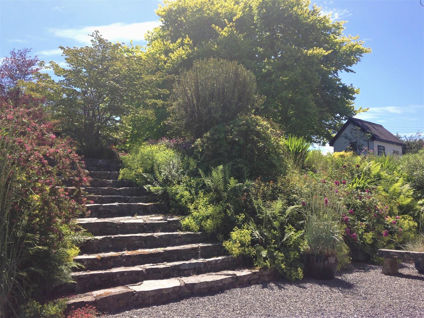 Cae Hir Gardens