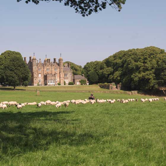 Glenarm Castle