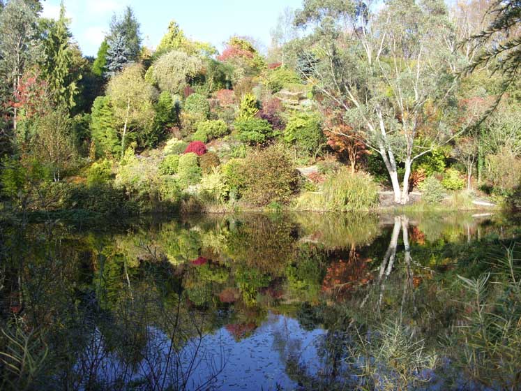 Dingle Nurseries & Garden