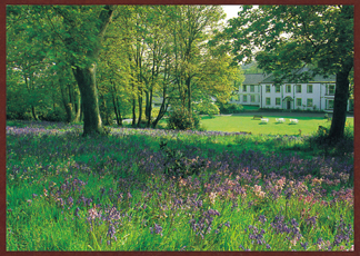 Rosemundy House Hotel