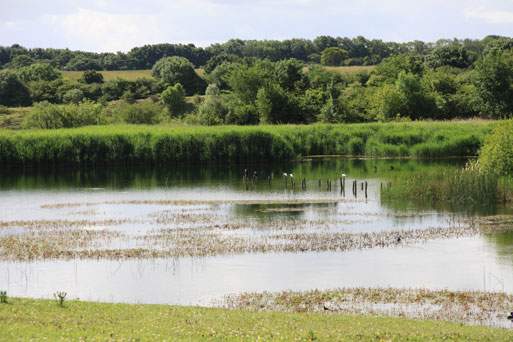 Cosmeston Lakes Country Park & Medieval Village