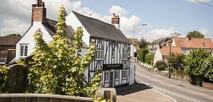 The Black Bull
