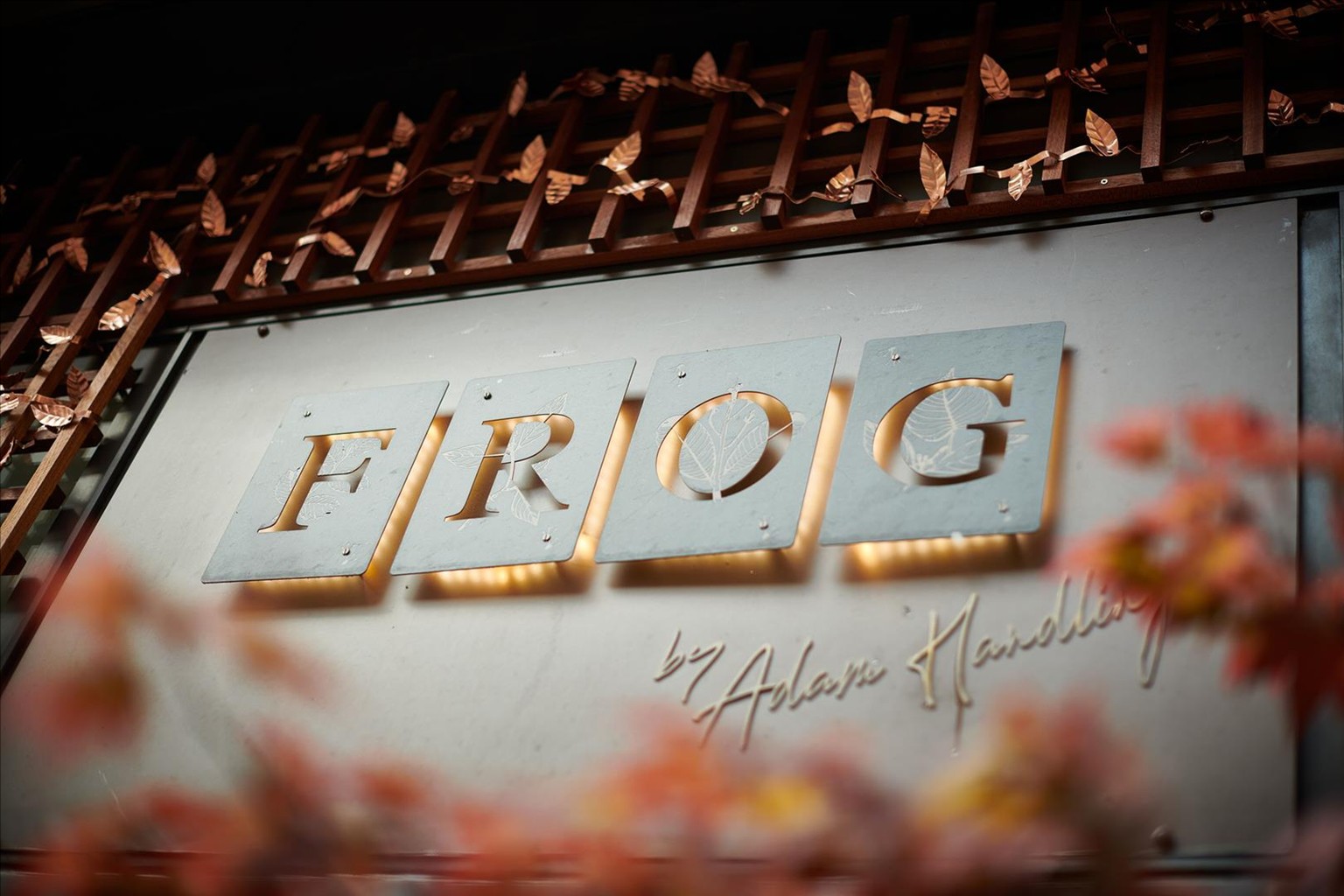 Frog by Adam Handling