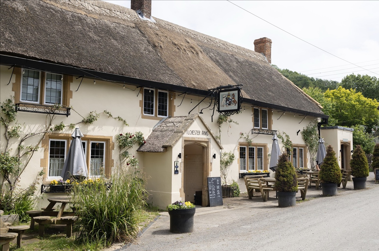 The Ilchester Arms